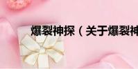爆裂神探(关于爆裂神探的简介)