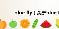 blue fly(关于blue fly的简介)