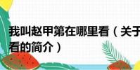 我叫赵甲第在哪里看(关于我叫赵甲第在哪里看的简介)