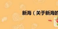 新海(关于新海的简介)