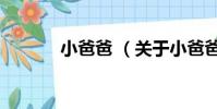小爸爸 (关于小爸爸 的简介)