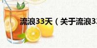 流浪33天(关于流浪33天的简介)