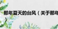 那年夏天的台风(关于那年夏天的台风的简介)