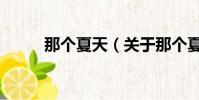 那个夏天(关于那个夏天的简介)