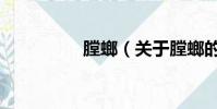 膛螂(关于膛螂的简介)
