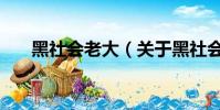黑社会老大(关于黑社会老大的简介)