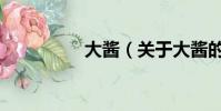 大酱(关于大酱的简介)