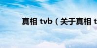 真相 tvb(关于真相 tvb的简介)