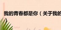 我的青春都是你(关于我的青春都是你的简介)