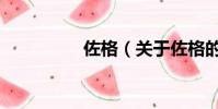 佐格(关于佐格的简介)
