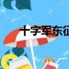 十字军东征（关于十字军东征的简介）