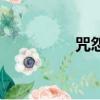 咒怨（关于咒怨的简介）