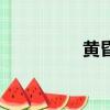 黄昏（关于黄昏的简介）