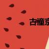 古潼京（关于古潼京的简介）