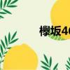 欅坂46（关于欅坂46的简介）
