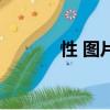 性 图片（关于性 图片的简介）
