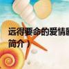 远得要命的爱情剧情介绍（关于远得要命的爱情剧情介绍的简介）