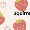 squirrel（关于squirrel的简介）