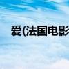 爱(法国电影)（关于爱(法国电影)的简介）