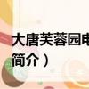 大唐芙蓉园电视剧（关于大唐芙蓉园电视剧的简介）