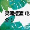 灵魂摆渡 电视剧（关于灵魂摆渡 电视剧的简介）