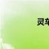 灵车（关于灵车的简介）