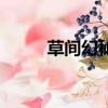 草间幻秘（关于草间幻秘的简介）