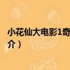 小花仙大电影1奇迹少女（关于小花仙大电影1奇迹少女的简介）