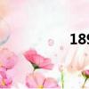 189（关于189的简介）