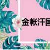 金帐汗国（关于金帐汗国的简介）