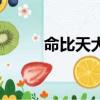 命比天大（关于命比天大的简介）
