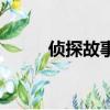 侦探故事（关于侦探故事的简介）