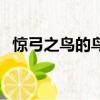 惊弓之鸟的鸟（关于惊弓之鸟的鸟的简介）