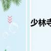 少林寺（关于少林寺的简介）
