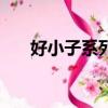 好小子系列（关于好小子系列的简介）