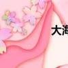 大海（关于大海的简介）