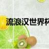 流浪汉世界杯（关于流浪汉世界杯的简介）