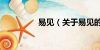 易见(关于易见的简介)