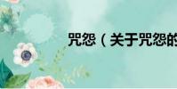咒怨(关于咒怨的简介)