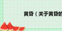 黄昏(关于黄昏的简介)