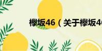 欅坂46(关于欅坂46的简介)