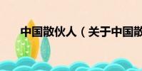 中国散伙人(关于中国散伙人的简介)