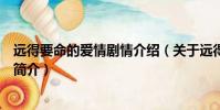 远得要命的爱情剧情介绍(关于远得要命的爱情剧情介绍的简介)