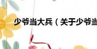 少爷当大兵(关于少爷当大兵的简介)