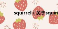 squirrel(关于squirrel的简介)