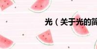 光(关于光的简介)