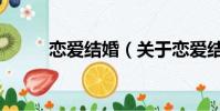 恋爱结婚(关于恋爱结婚的简介)