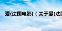 爱(法国电影)(关于爱(法国电影)的简介)