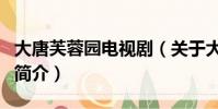 大唐芙蓉园电视剧(关于大唐芙蓉园电视剧的简介)
