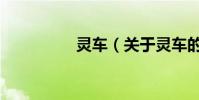 灵车(关于灵车的简介)